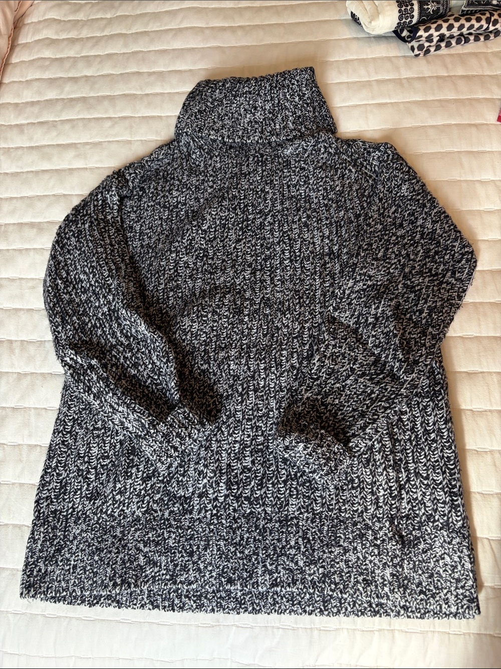 Everlane Black & White Marled Turtleneck Sweater (oversized)